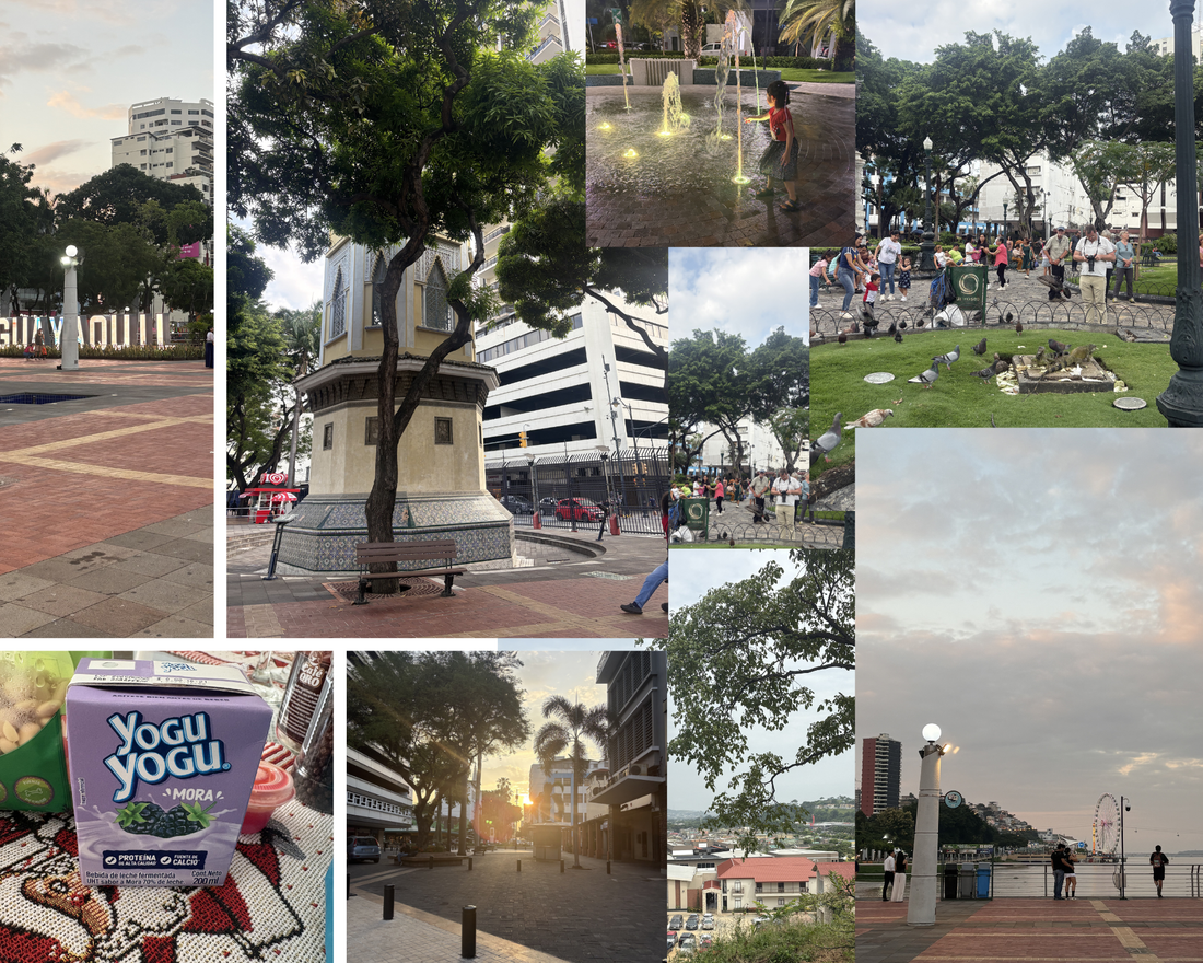 Traveling to Guayaquil Ecuador to immerse in the Spanish language?